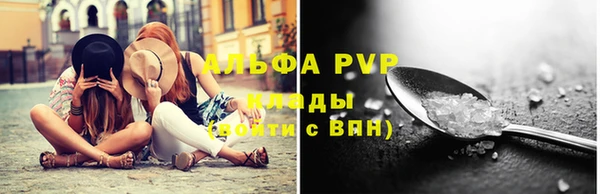 ГАЛЛЮЦИНОГЕННЫЕ ГРИБЫ Кукмор