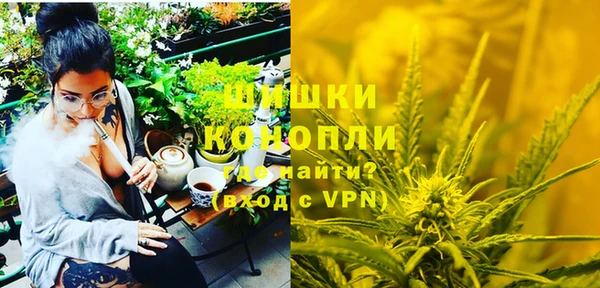 индика Лагань