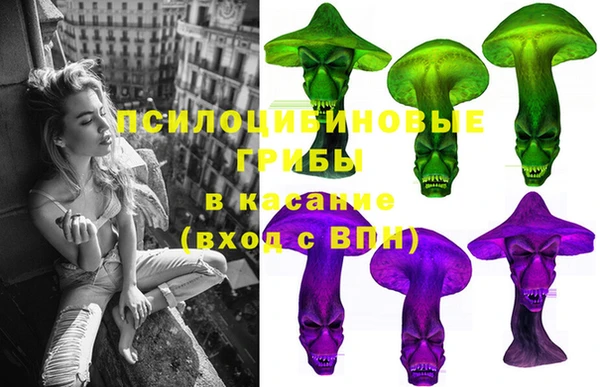 индика Лагань