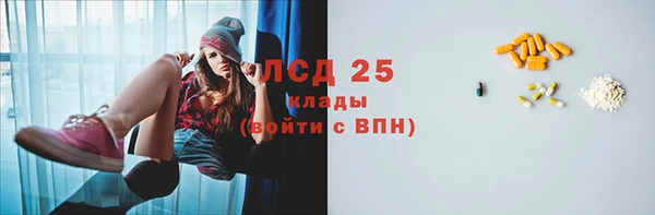 ГАЛЛЮЦИНОГЕННЫЕ ГРИБЫ Кукмор